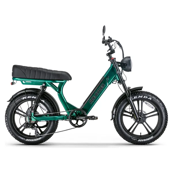 Ape Ryder MD10 250 W Yeşil İki Kişilik Elektrikli Bisiklet