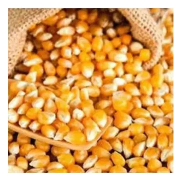 Silifke Market Patlaklık Mısır 500 gr