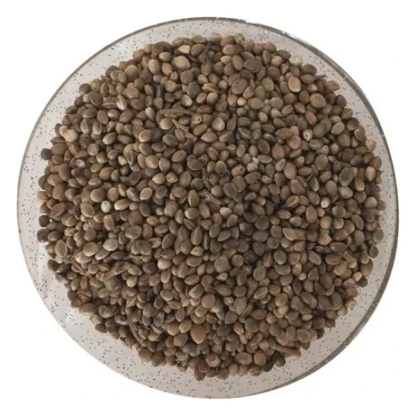 Kendir ( Kenevir ) Tohumu 1 Kg