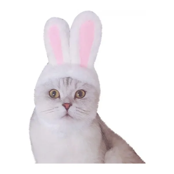 Tavşan Kulaklı Kedi Köpek Şapkası 30-34 Cm