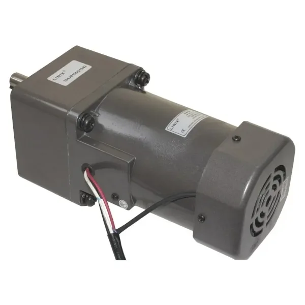 YN100-120 220V 52RPM AC Motor