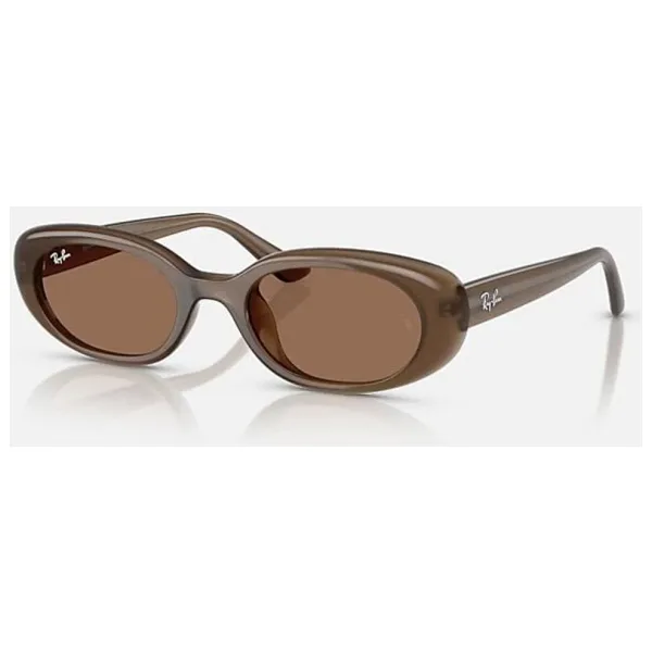 Ray-Ban 4441D 677973 Brown-Dark Brown Güneş Gözlüğü