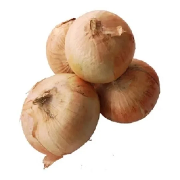Soğan Kuru (Yeni Mahsul) Kg