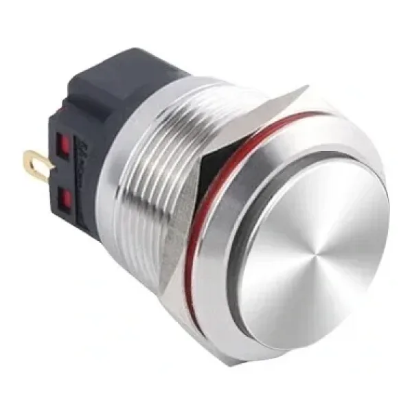 WD22B-G1 22mm Çıkık Yaylı Metal Buton