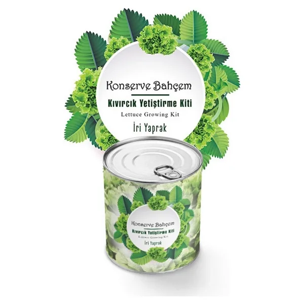 Konserve Bahcem Evde Konservede Iri Yaprakli Kivircik Yetistirme Kiti