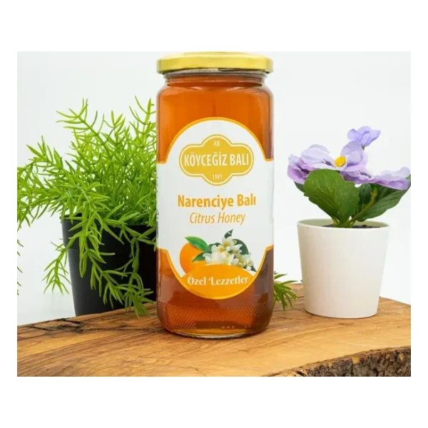Köyceğiz 660 gr Narenciye Balı