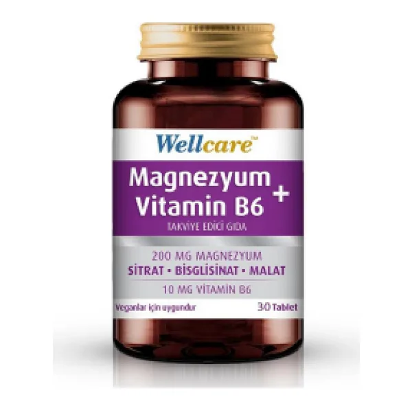 Wellcare Magnezyum + Vitamin B6 30 Tablet