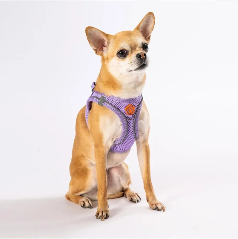 Pawstar Air-Mesh Lilac Köpek Göğüs Tasması - Lila - S