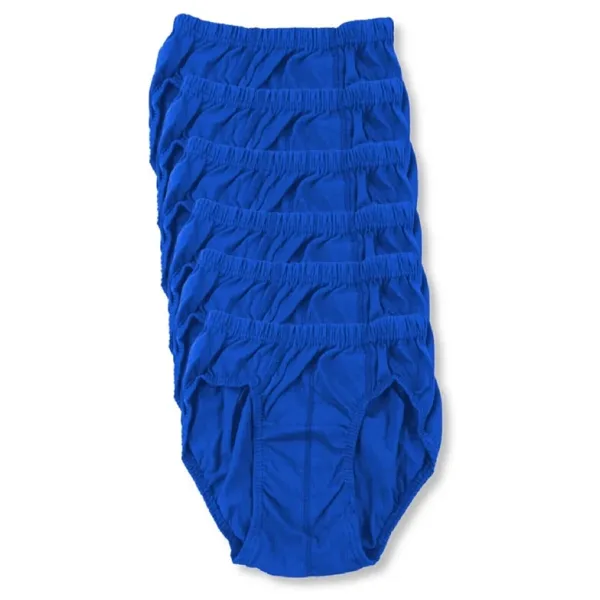 Seher 3 Adet Mavi Renk Çocuk Slip Külot