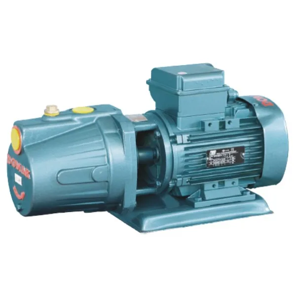 Domak JET150 220 V 1.5 Hp Monoblok Elektropomp