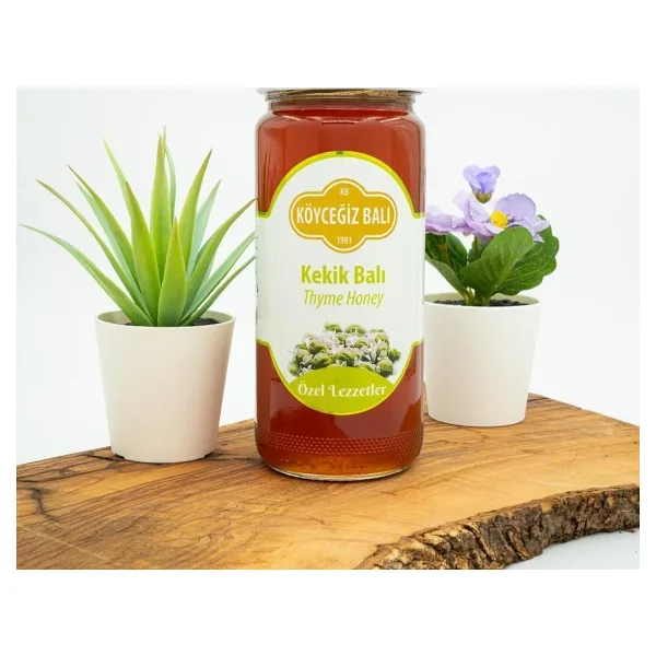 Köyceğiz 660 gr Kekik Balı