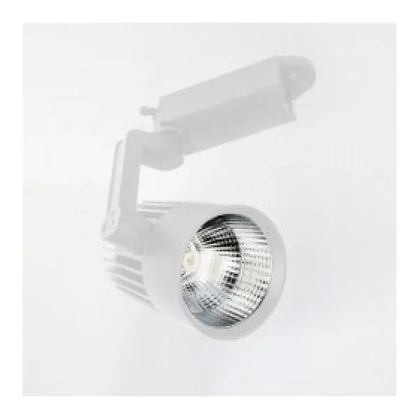 YCL YRS-205B 30W Led Ray Spot Beyaz Kasa Beyaz