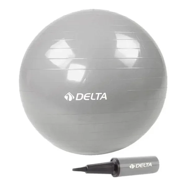 Delta 65 cm Gümüş Renk Pilates Topu + Pompa JRS660 silver