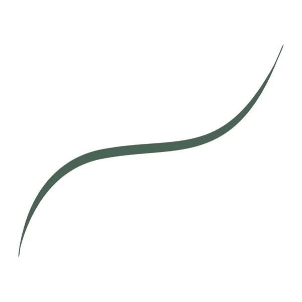 L'Oreal Paris Infaillible 36h Grip Micro Fine Eyeliner 05 Sage Green