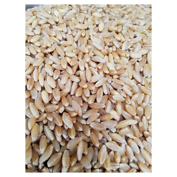 10kg Elenmis Kirmizi Buğday
