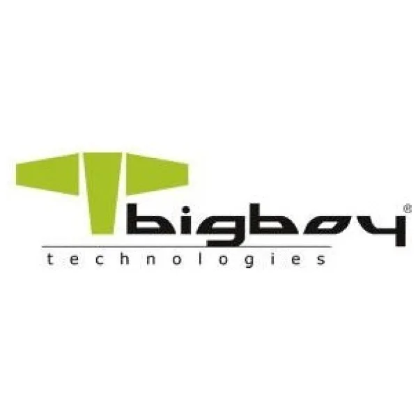 Bigboy BSSD2242N512G PCI-Express 3.0 512 GB M.2 SSD