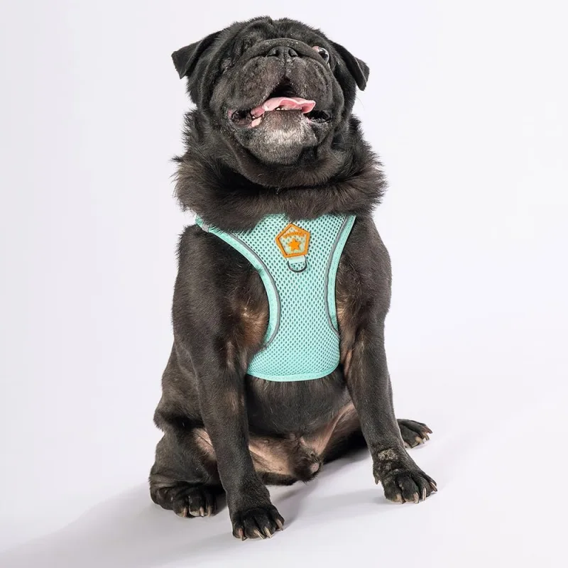 Pawstar Mint Air-Mesh Göğüs Tasması Kedi Köpek Göğüs Tasması Mint S