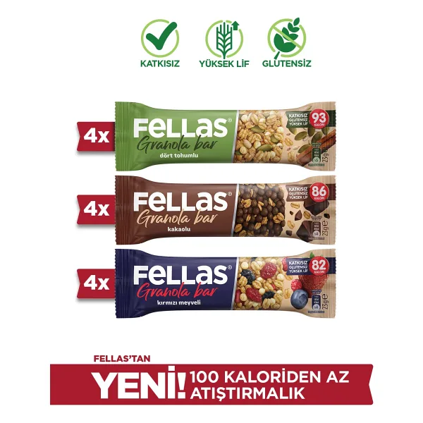 Fellas Granola Bar Protein Kaynağı (23 G) Karma Kutu (12 Adet)