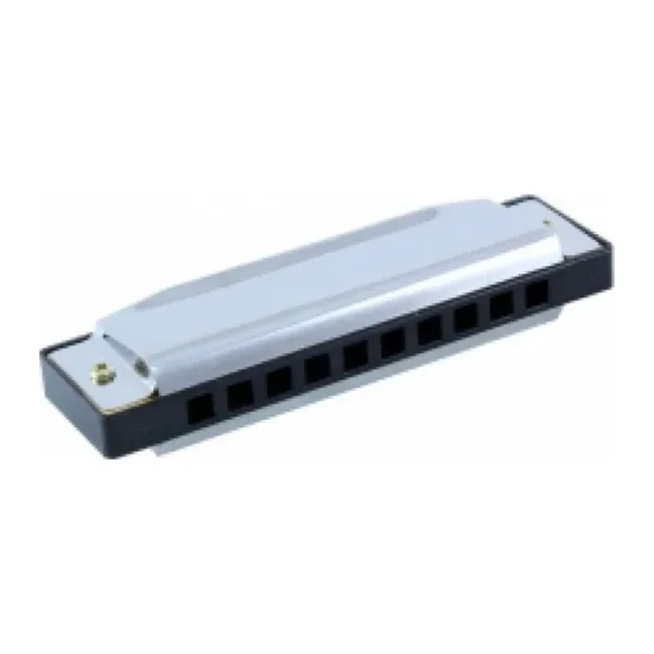 Rizo HC100 10 Delikli C (Do) Mızıka