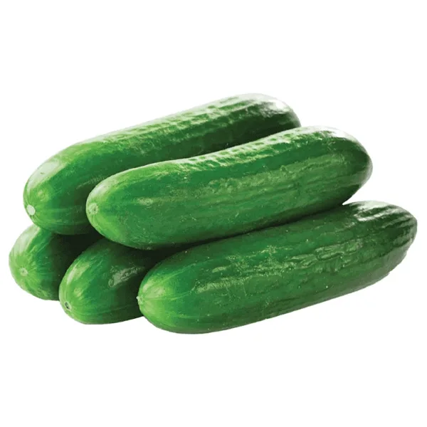 Sebze