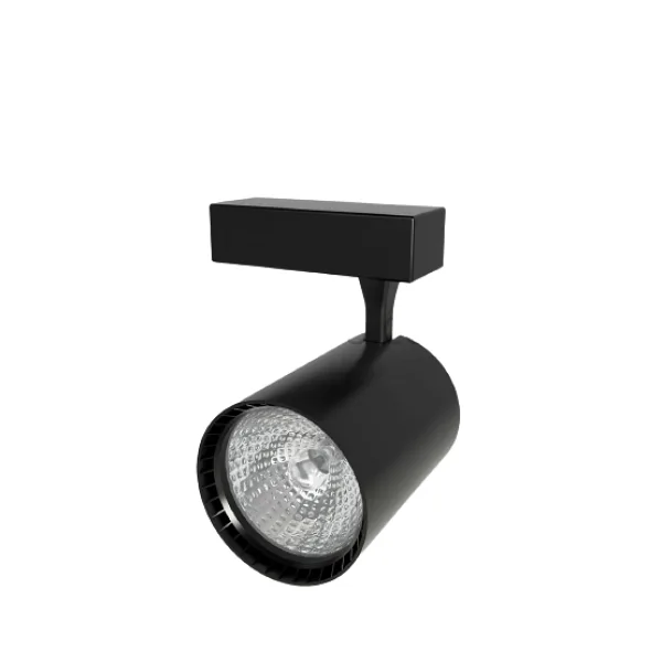 YCL YRS-3000B 30W Led Ray Spot Siyah Kasa Beyaz