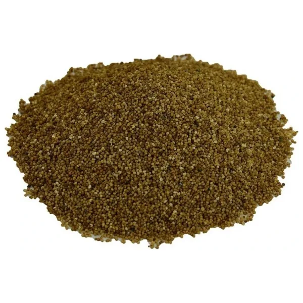 Doğal Saf Sarı Haşhaş Tohumu Tane Sarı Haşhaş Tohum 100GR Paket