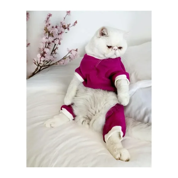 Foxie Polar Kedi Tulum Pijama
