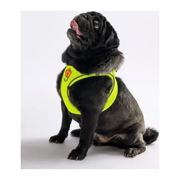 Pawstar Neon Sarı Air-mesh Göğüs Tasması Kedi Köpek Göğüs Tasması Neon Sarı 3XS