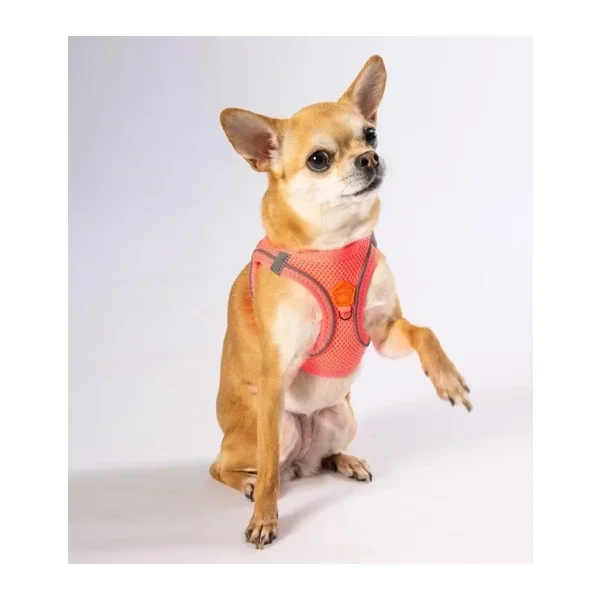 Pawstar Neon Pembe Air-mesh Göğüs Tasması Kedi Köpek Göğüs Tasması Neon Pembe M