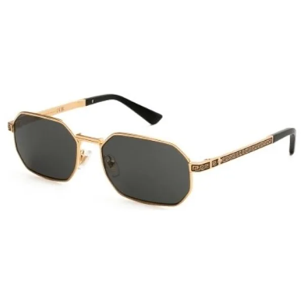 Versace VE2297 Erkek Güneş Gözlüğü