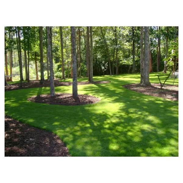 Grass Seed 7 GÜNDE ÜZERİNE BASILABİLİR İTHAL ÇİM TOHUMU 1 KG 6'LI KARIŞIM
