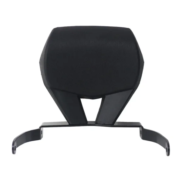 GP KOMPOZİT Honda Forza 250 2023-2025 Uyumlu Sissy Bar Siyah