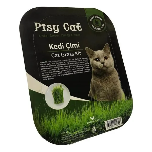 Pisy Cat Doğal Kedi Çimi
