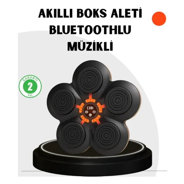 Zenvia Evde Fitness Için Akıllı Boks Makinesi Işıklı Vuruş Noktalı Bluetoothlu Znv-Tcndym - 1 - 2 Yaş - 001-Renkli