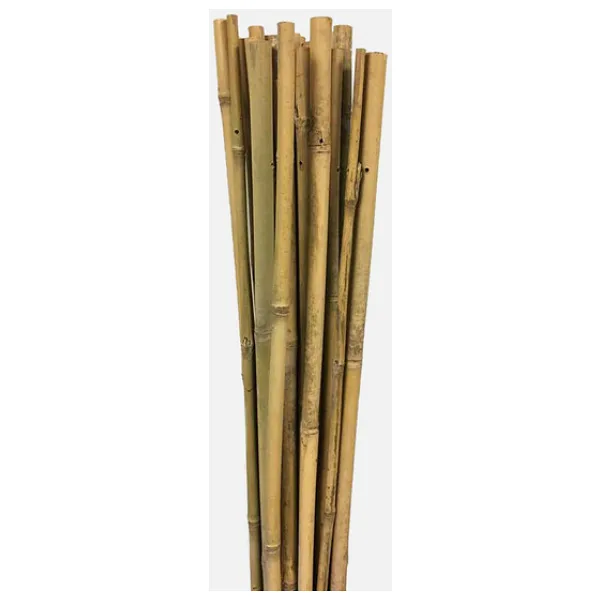 Gardener Bambu Bitki Destek Çubuğu 60 cm