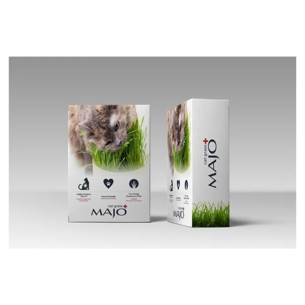Majo Cat Grass Kedi Çimi
