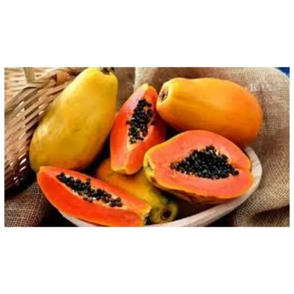Köy Tohumları 20 Adet Tohum Tropikal Papaya Ağaç Tohumu Organik Hasat Meyve Ağacı Papaya Tohumu Hediye Tohumlu