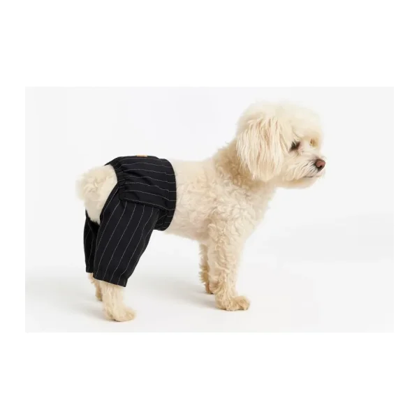 Mpz Pets Kedi Ve Köpek Kıyafeti & Elbisesi Siyah Beyaz Çizgili Pantolon XL
