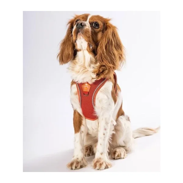 Pawstar Kiremit Air-mesh Göğüs Tasması Kedi Köpek Göğüs Tasması Kiremit 3XS