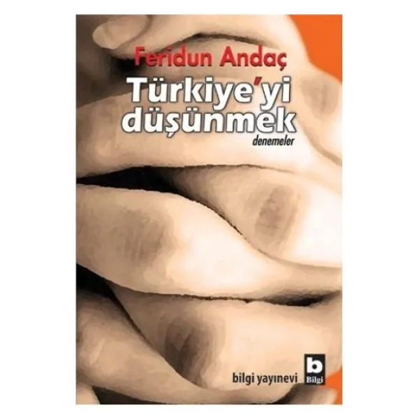 Türkiye'yi Düşünmek - Feridun Andaç
