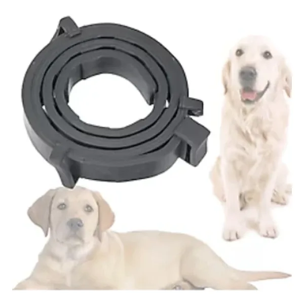 Mucit Home Köpek Pire Ve Bit Kovucu Engelleyeci Tasma Boyunluk 62 Cm