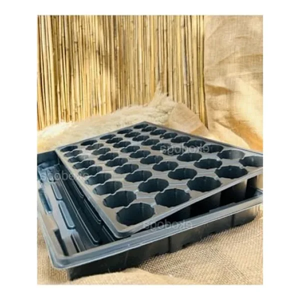 45 Gözlü Fide Viyolü, 5 Cm Derinlikte Tepsi İle 2 Adet Set