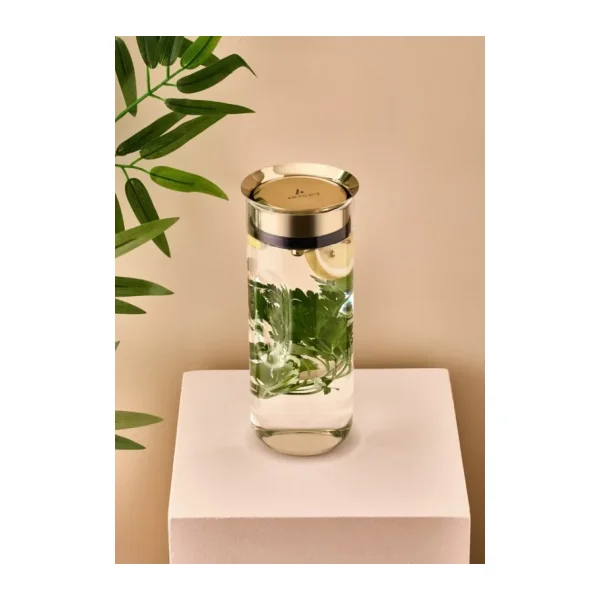 Aryıldız Ar262429 1100 ml Gold Fine Karaf