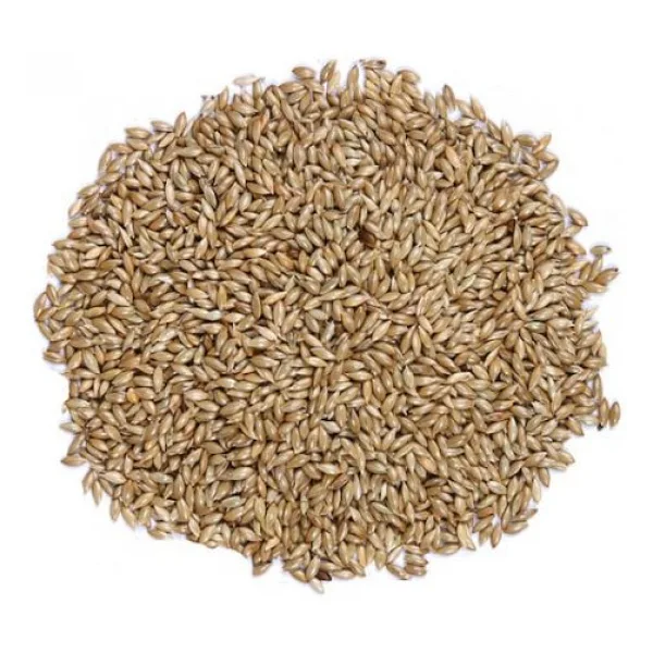 20Kg Sade Kanarya Yemı