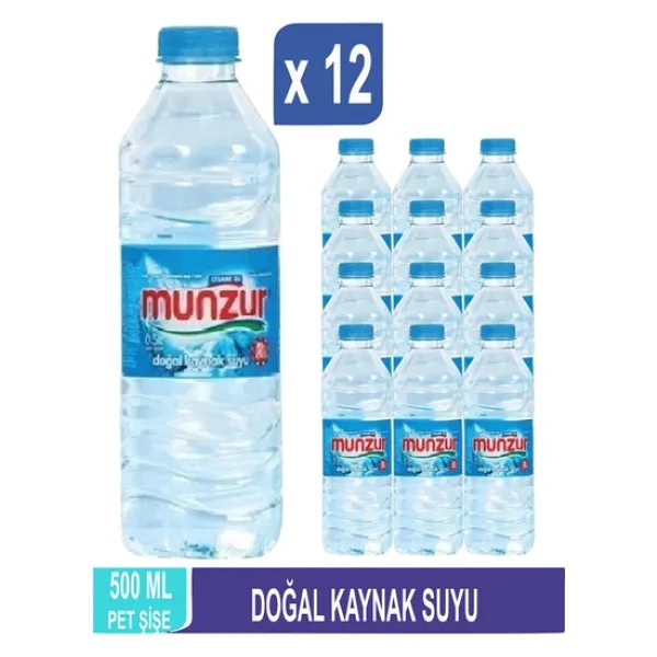 Munzur Doğal Kaynak Suyu 500 ML x 12