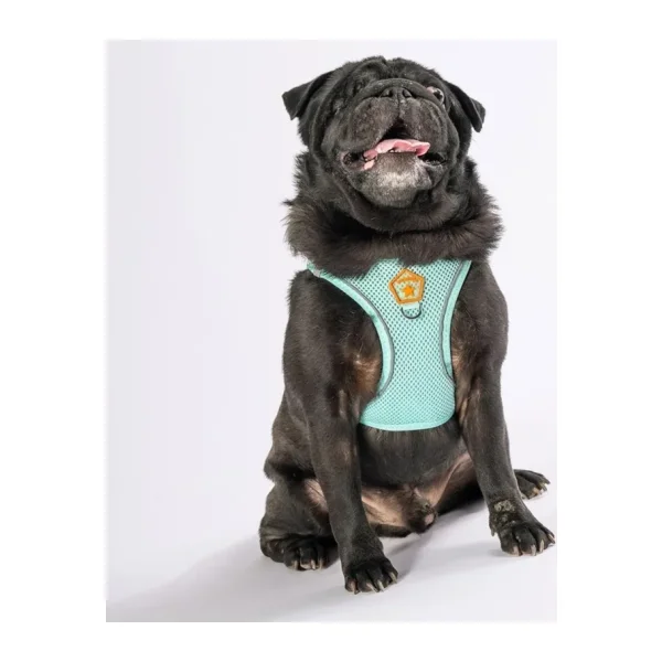 Pawstar Mint Air-mesh Göğüs Tasması Kedi Köpek Göğüs Tasması Mint 3XS