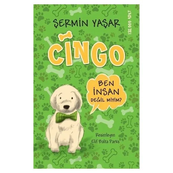 Cingo - Şermin Yaşar