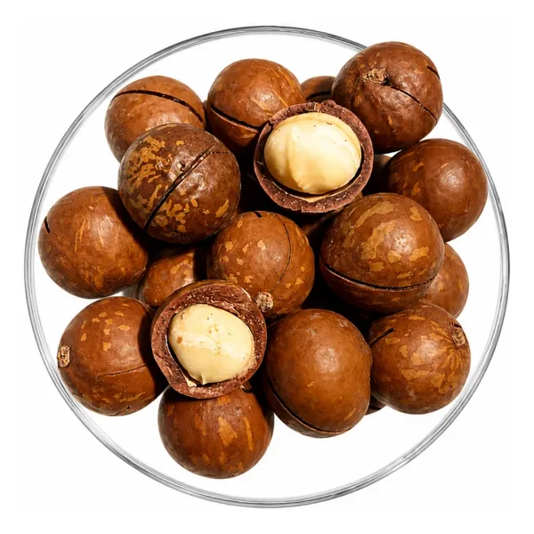 Makademya Fındığı Kabuklu 500 gram