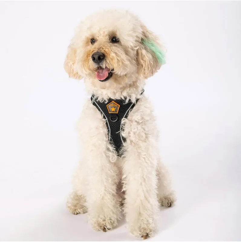 Pawstar Siyah Air-mesh Göğüs Tasması Kedi Köpek Göğüs Tasması Siyah 3XS