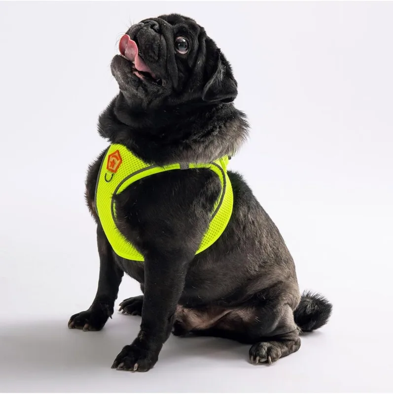 Pawstar Neon Sarı Air-Mesh Göğüs Tasması Kedi Köpek Göğüs Tasması 2xs